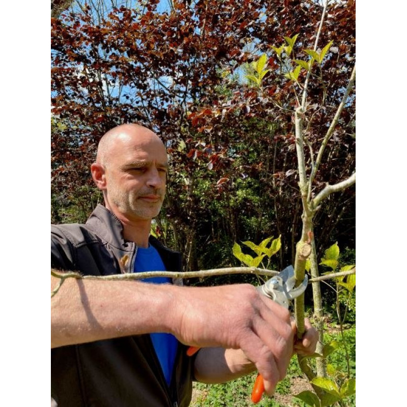 Bahco Мощный одноручный секатор [P5-23-F]