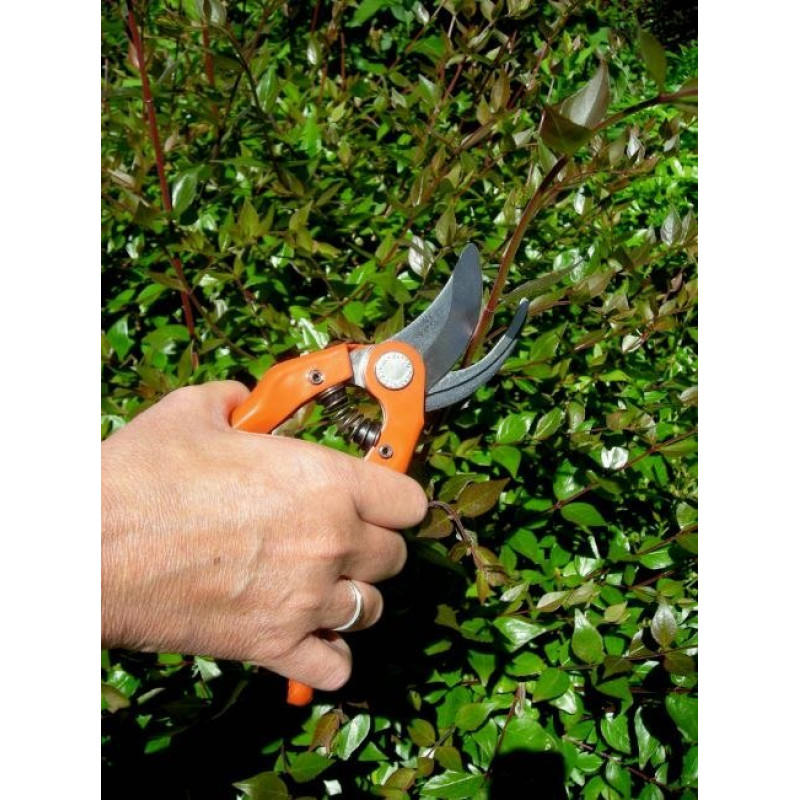 Одноручный секатор Bahco [P121-20-F]