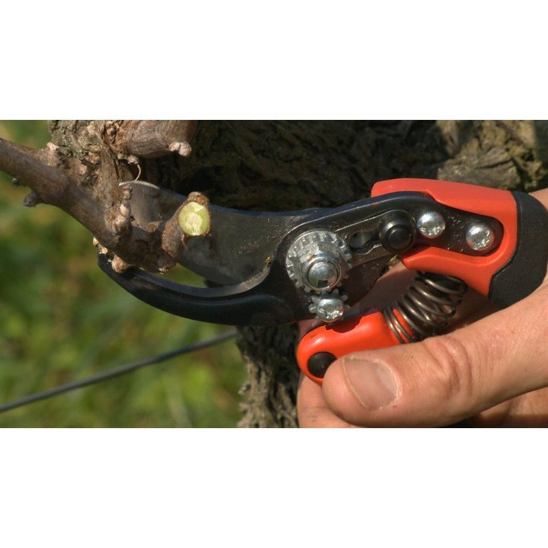 Эргономичные садовые секаторы Bahco размер S, диапазон 20 мм [PX-S2]