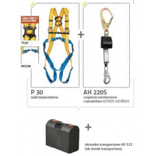 Комплект роликов Protekt