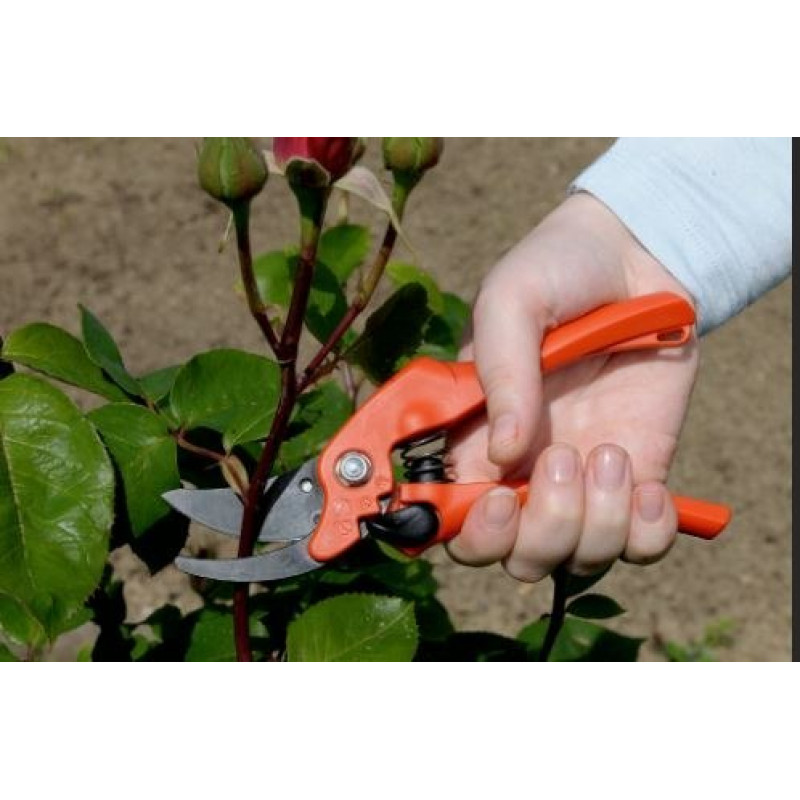 Секатор Bahco для правшей [PG-01-F]