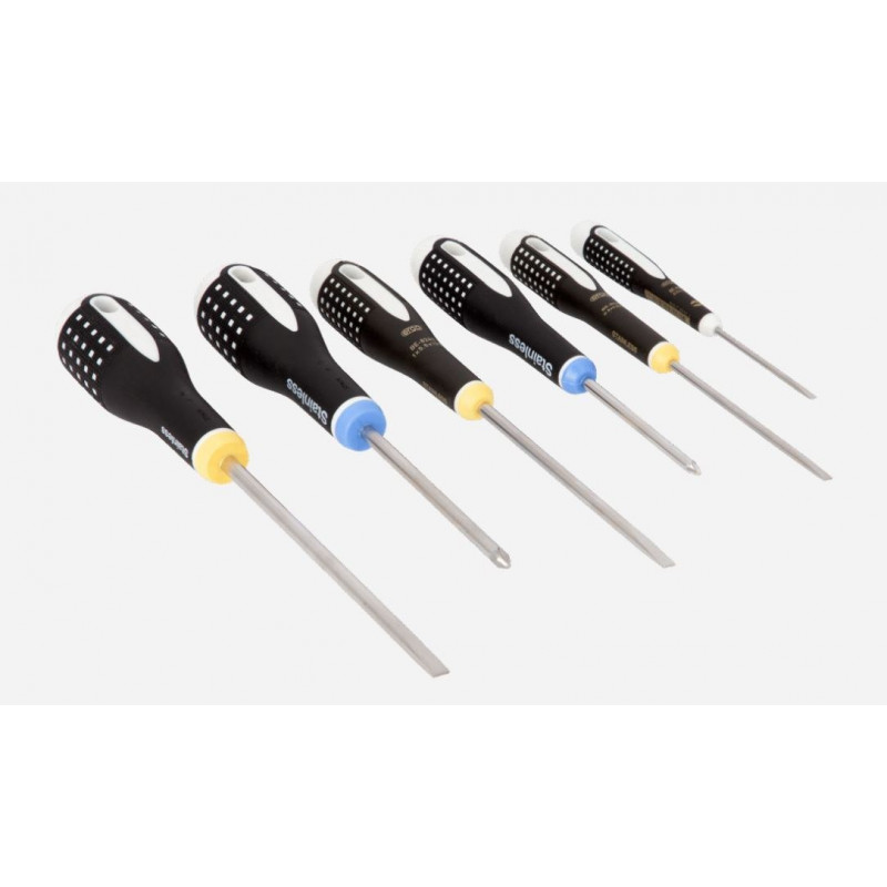 Набір з 6 викруток ERGO з нержавіючої сталі для плоских гвинтів та гвинтів PZ, Bahco [BE-9882I]